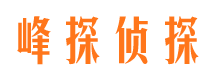 西区侦探公司